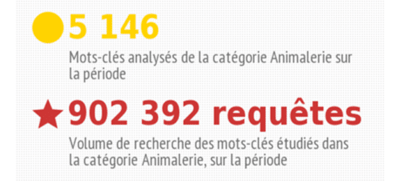 infographie marketplaces animalerie